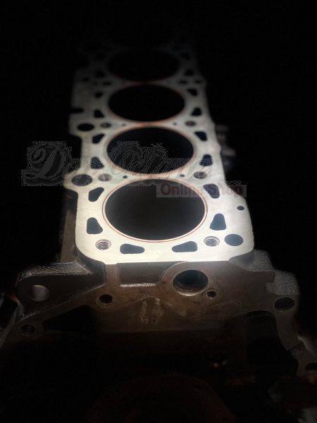 Kupferringe Audi S2 RS2 einbringen